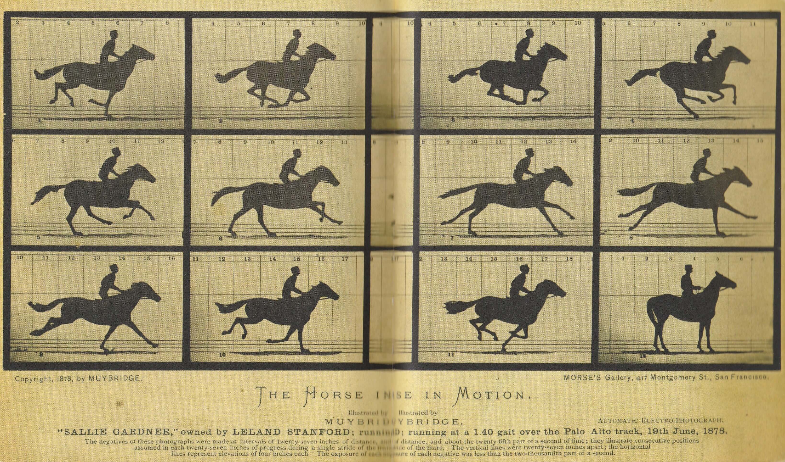 Muybridge